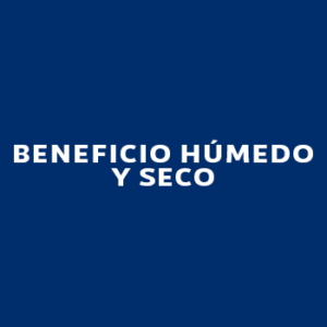 Beneficio Húmedo y Seco