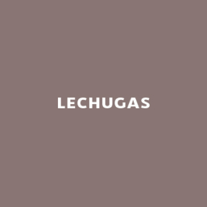 Lechugas