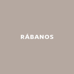 Rabanos