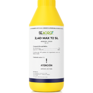 2-4D MAX