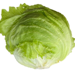 LECHUGA RHODENAS