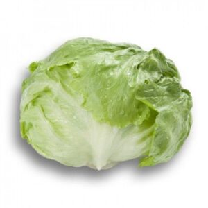 LECHUGA SALMARINAS