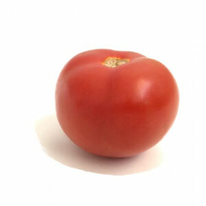 TOMATE TRONUS