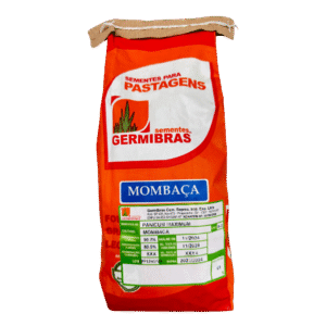 Mombaza