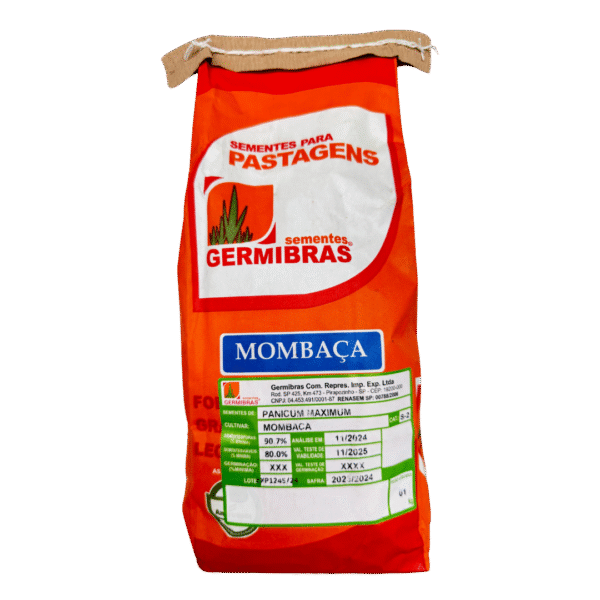 Mombaza