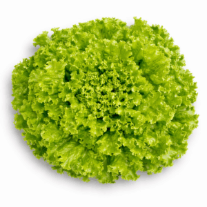 KIBRILLI