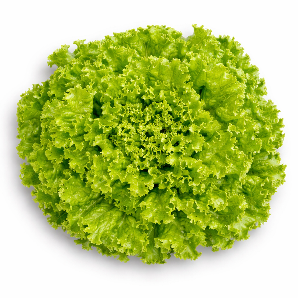 KIBRILLI