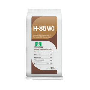 H-85